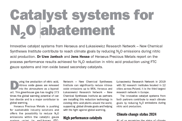 Catalyst Systems for N2O Abatement